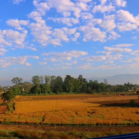 Hotel National Park- A Peaceful Family Home Where You Can Stay Peace And Enjoy And Organize The Wildlife Safari Chitwan Extérieur photo