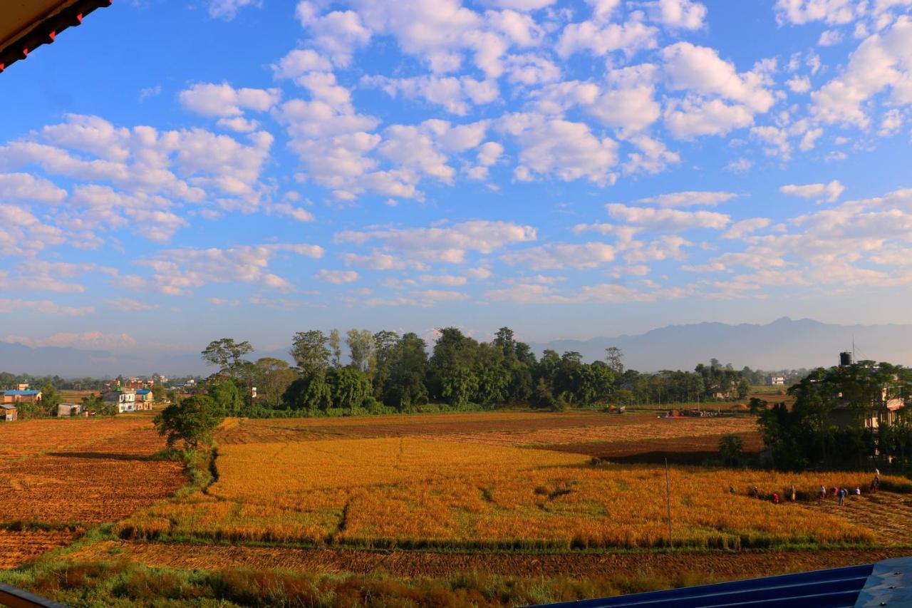 National Park- A Peaceful Family Where Peace And Enjoy And Organize The Wildlife Safari Chitwan