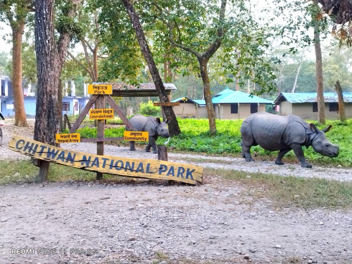 National Park- A Peaceful Family Where Peace And Enjoy And Organize The Wildlife Safari