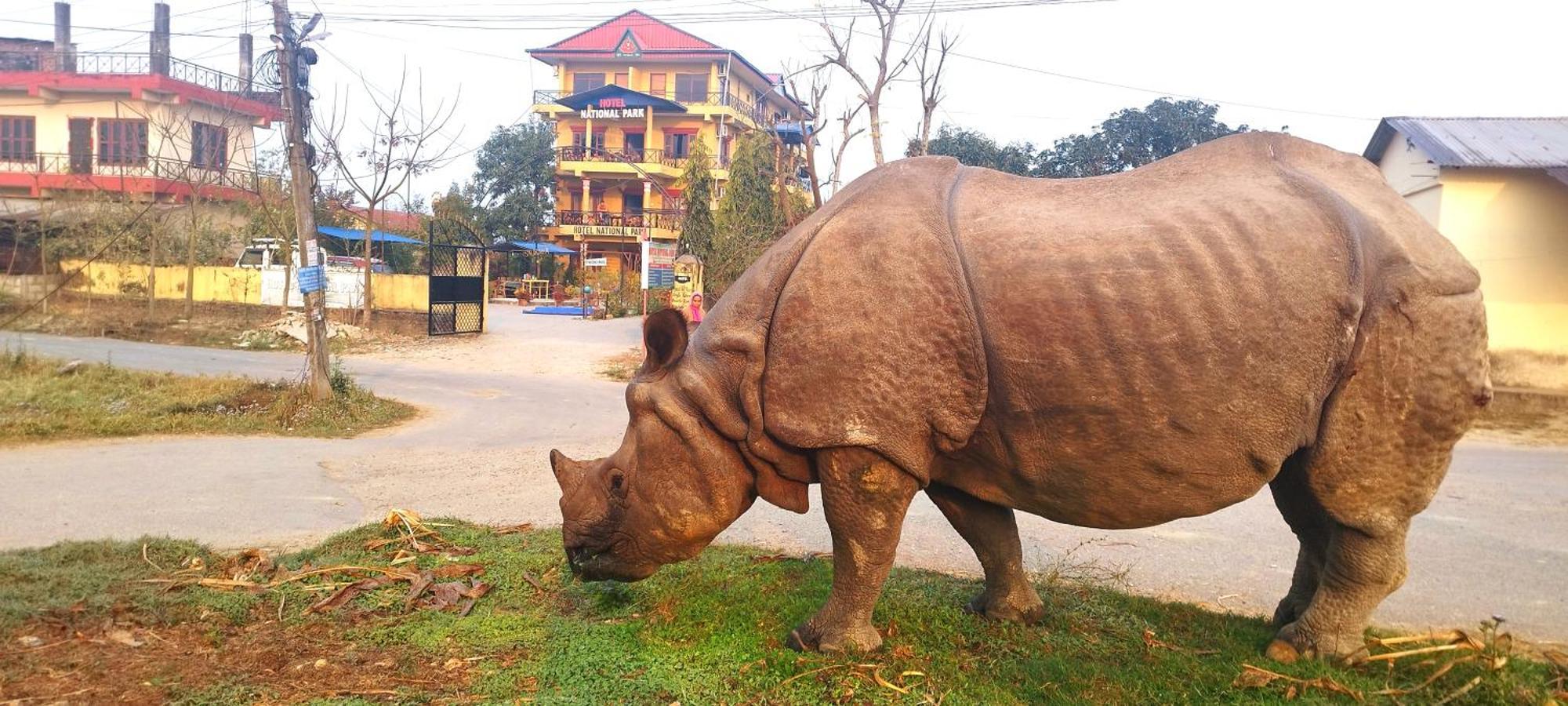 Privatunterkunft National Park- A Peaceful Family Where Peace And Enjoy And Organize The Wildlife Safari Chitwan